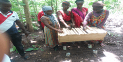 Strengthen the capacity and potential of women and young smallholder farmers to adopt sustainable agricultural practices, integrate beekeeping into their crop production, and promote environmental conservation and biodiversity.